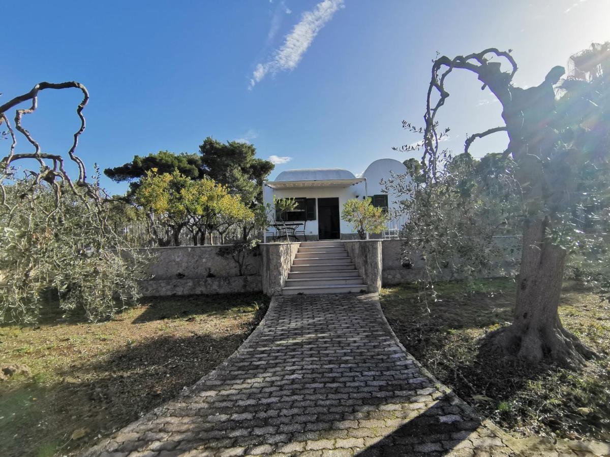 Tenuta Solleone Пескичи Экстерьер фото