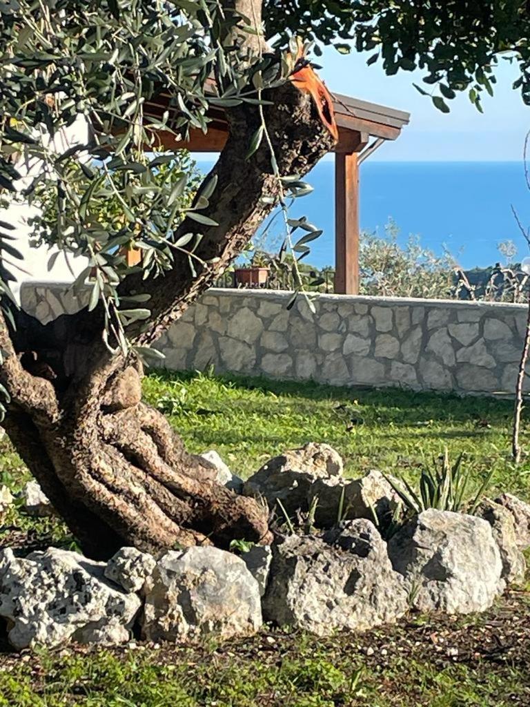 Tenuta Solleone Пескичи Экстерьер фото